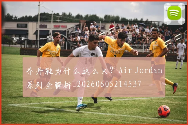乔丹鞋为什么这么火？Air Jordan系列全解析_20260605214537