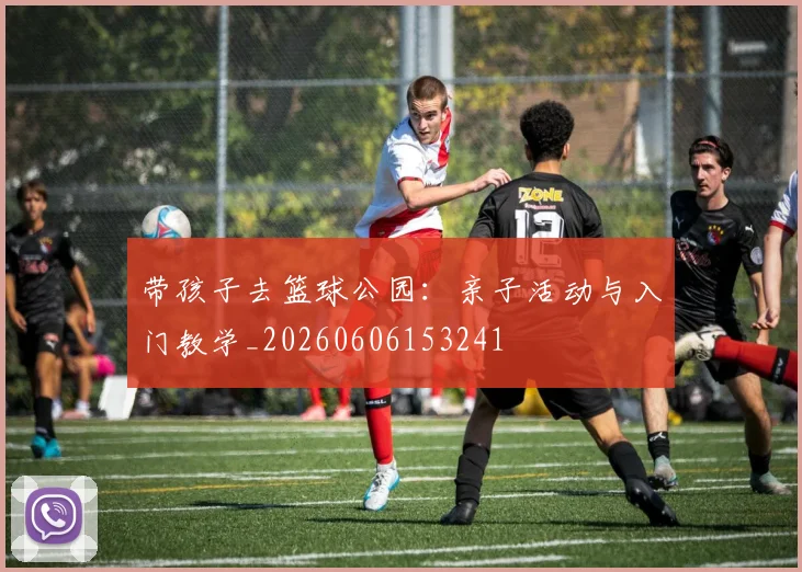 带孩子去篮球公园：亲子活动与入门教学_20260606153241