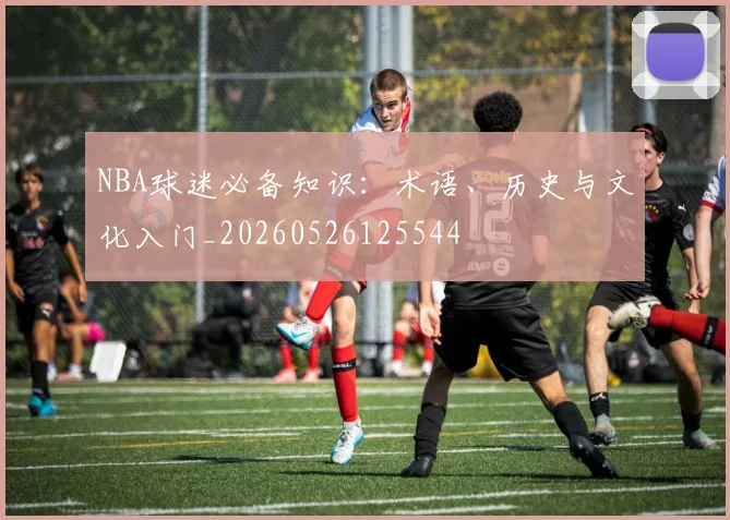NBA球迷必备知识:术语、历史与文化入门_20260526125544