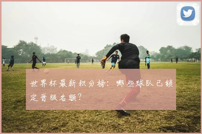 世界杯最新积分榜：哪些球队已锁定晋级名额？